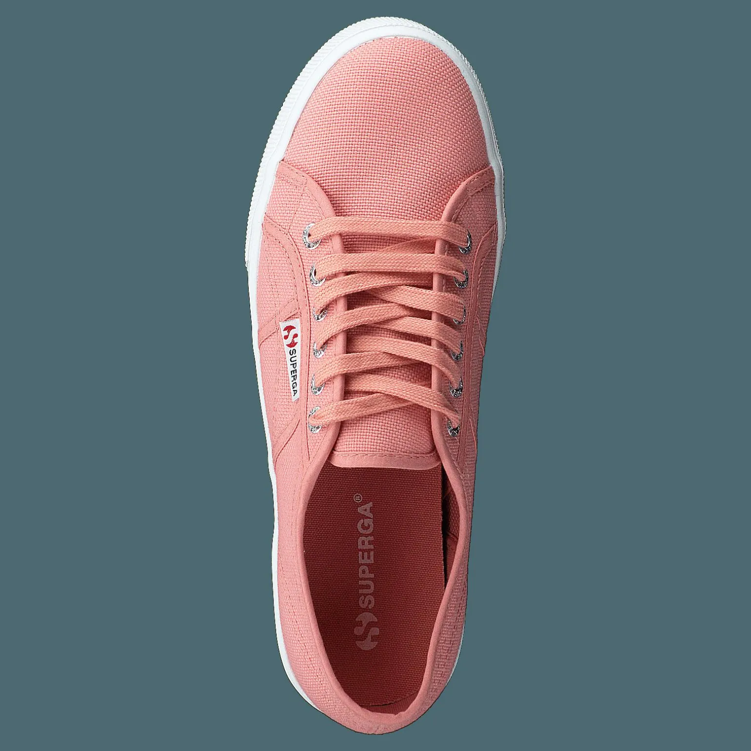2790 Acotw Linea Rose Lobster