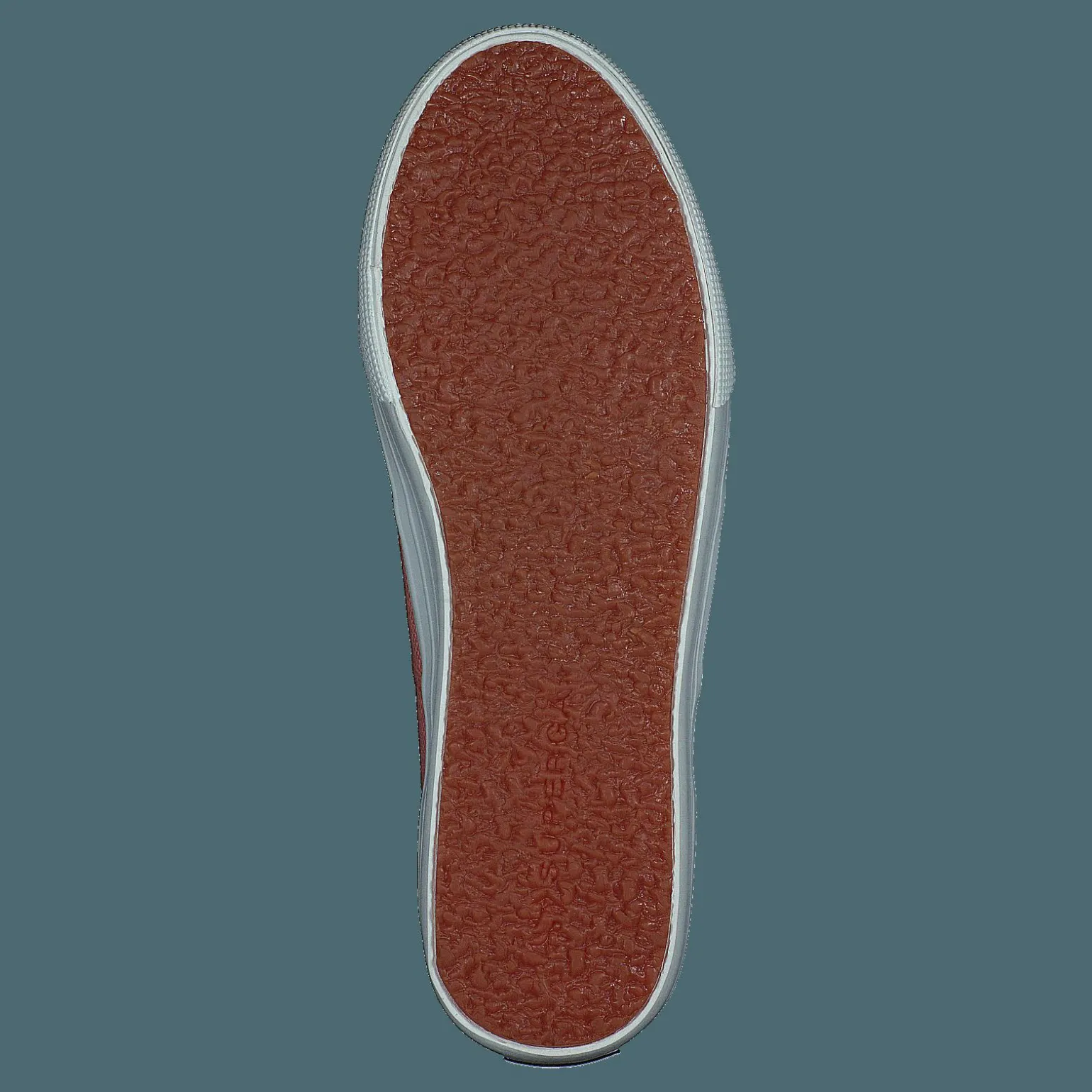 2790 Acotw Linea Rose Lobster