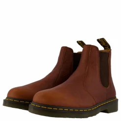 2976 Cashew Ambassador