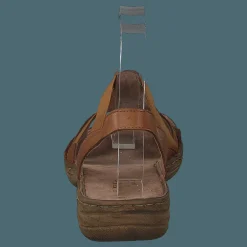 483-2512 Cognac