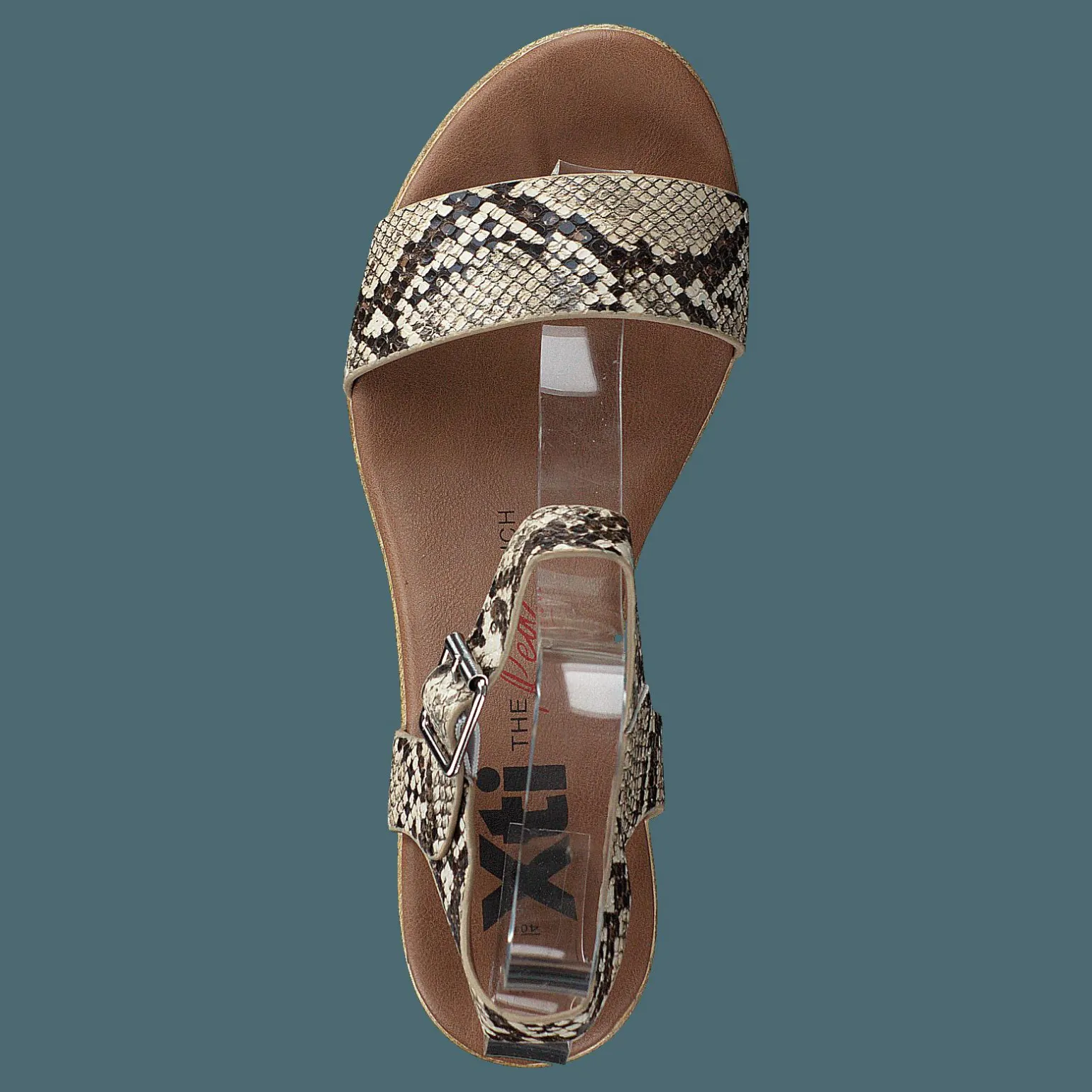 49889 Snake
