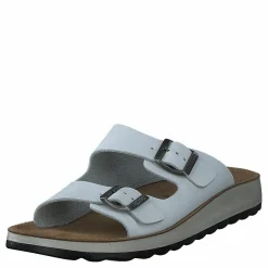484-7764 White
