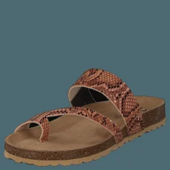 Adan Sand Snake