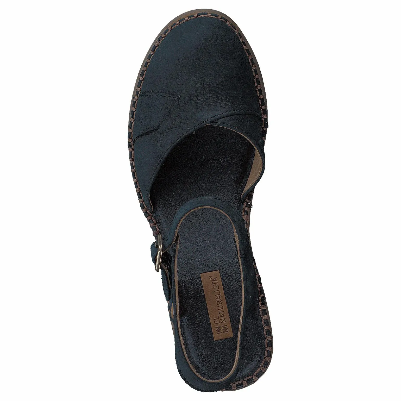 Aqua Black