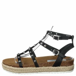Array Black