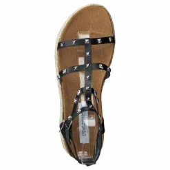 Array Black