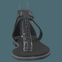 Bay Poppy Black Interest