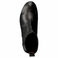 Beta Black