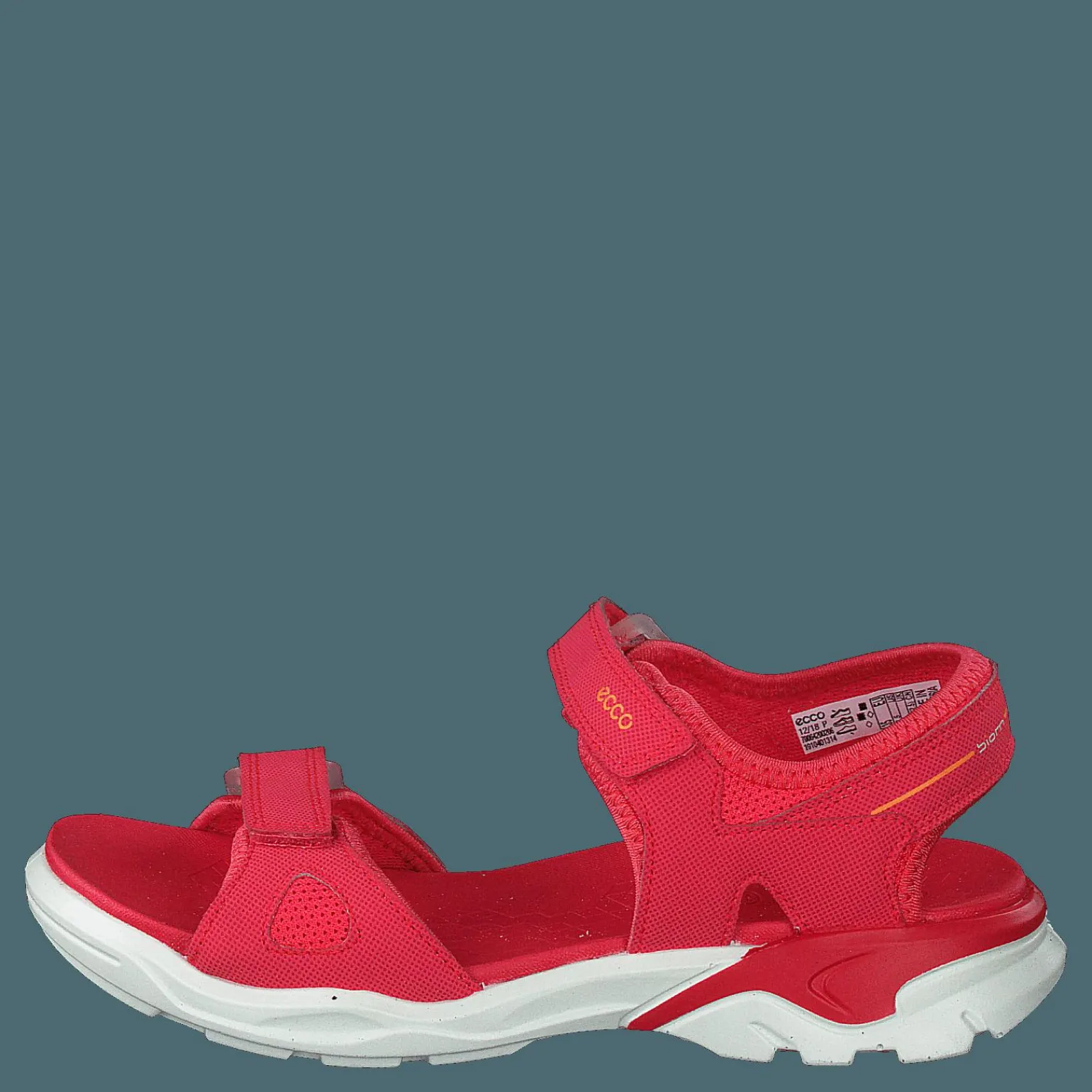 Biom Raft Teaberry