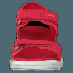 Biom Raft Teaberry