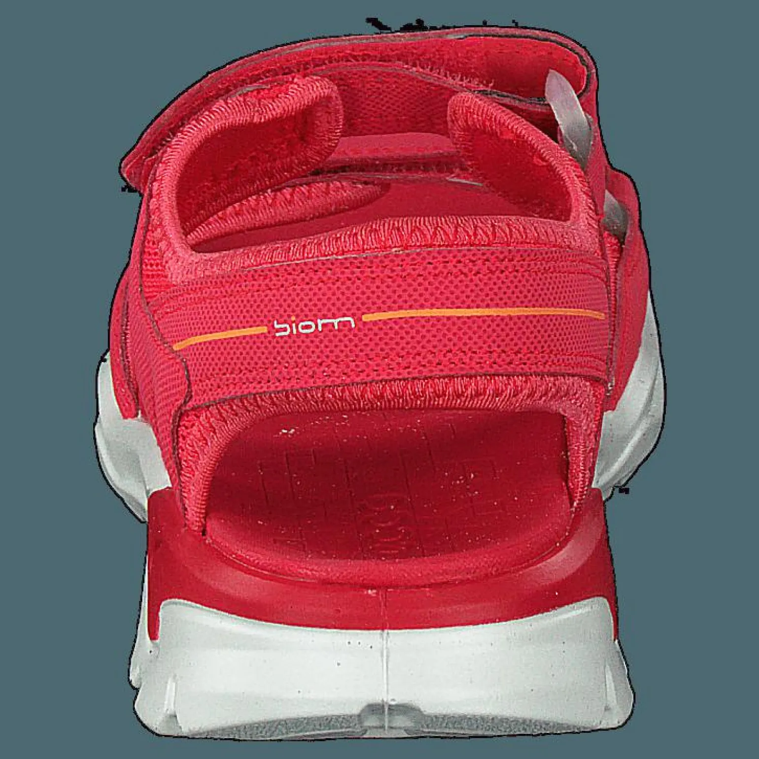 Biom Raft Teaberry
