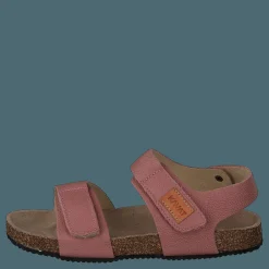 Bomhus Ep Ash Rose
