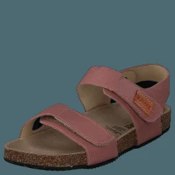 Bomhus Ep Ash Rose
