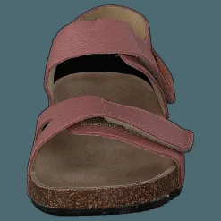 Bomhus Ep Ash Rose