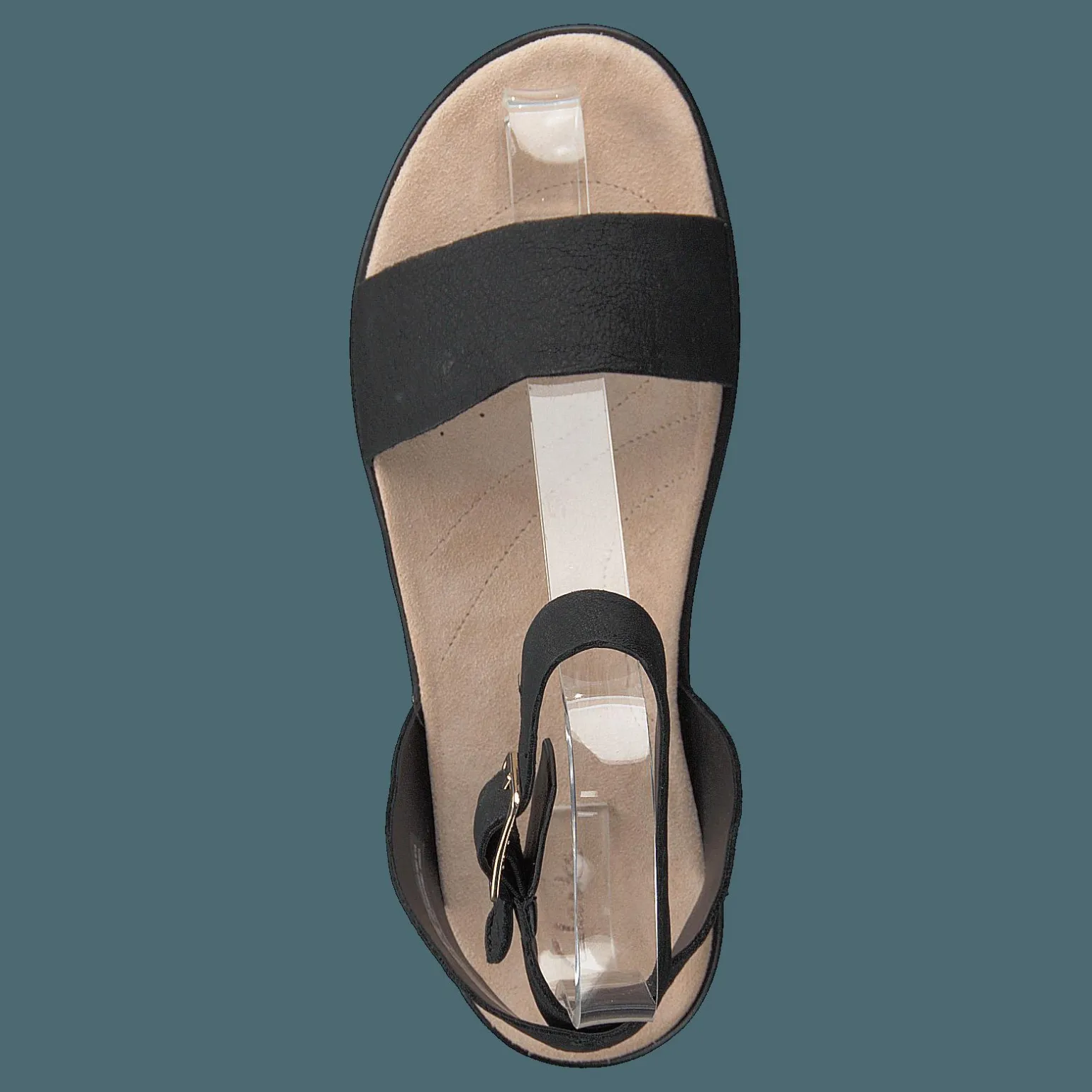 Botanic Ivy Black Leather
