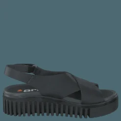 Brighton Black