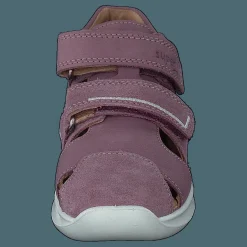 Bumblebee Purple