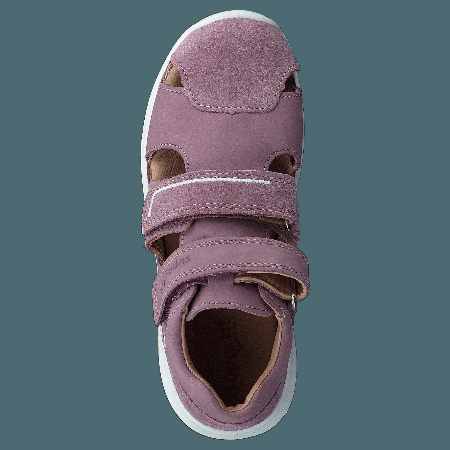 Bumblebee Purple