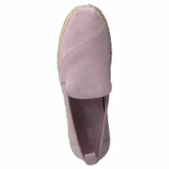 Burnished Lilac Lilac