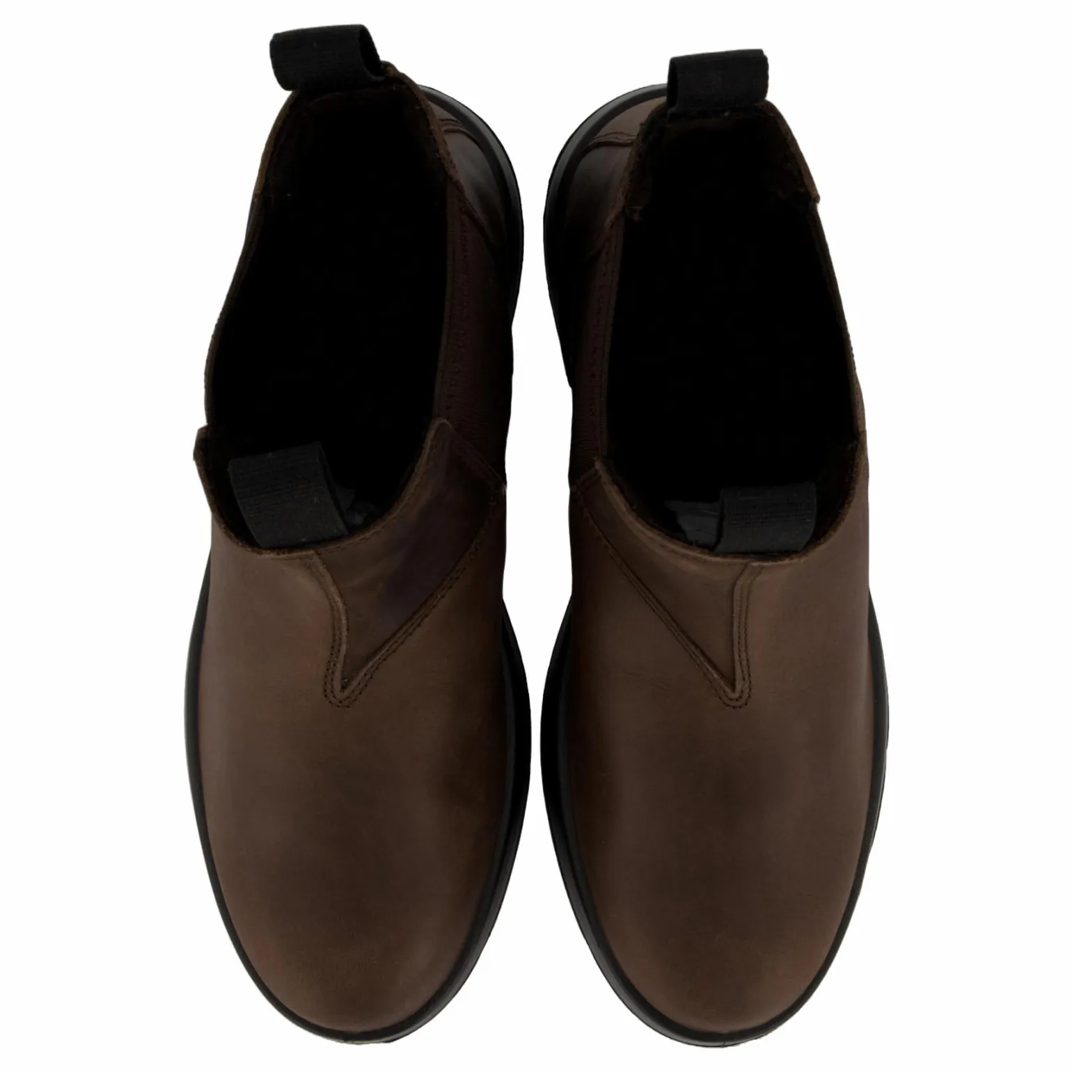 Camel Picadilly Gtx