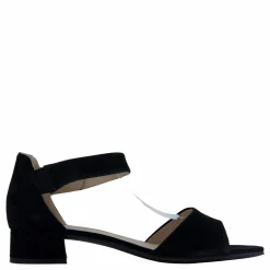 Carla Black Suede