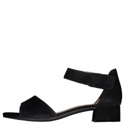 Carla Black Suede