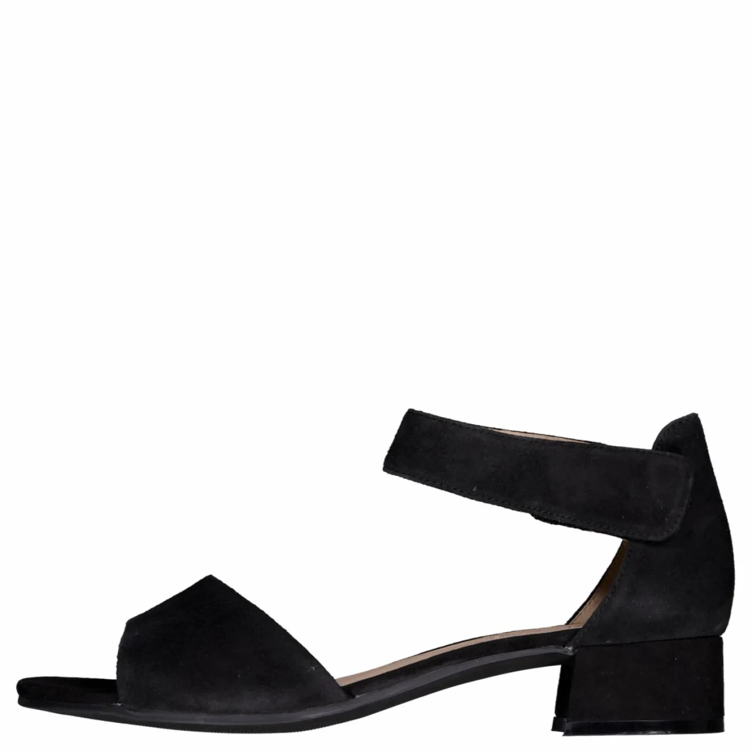 Carla Black Suede