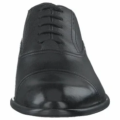 Circass Black