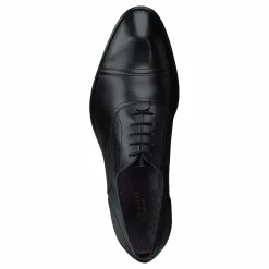 Circass Black