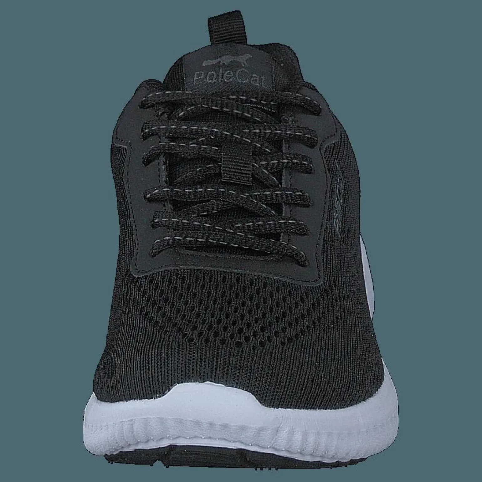 Credo Iowa Black