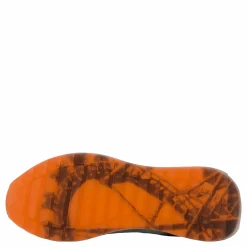 Daytona Multicolor