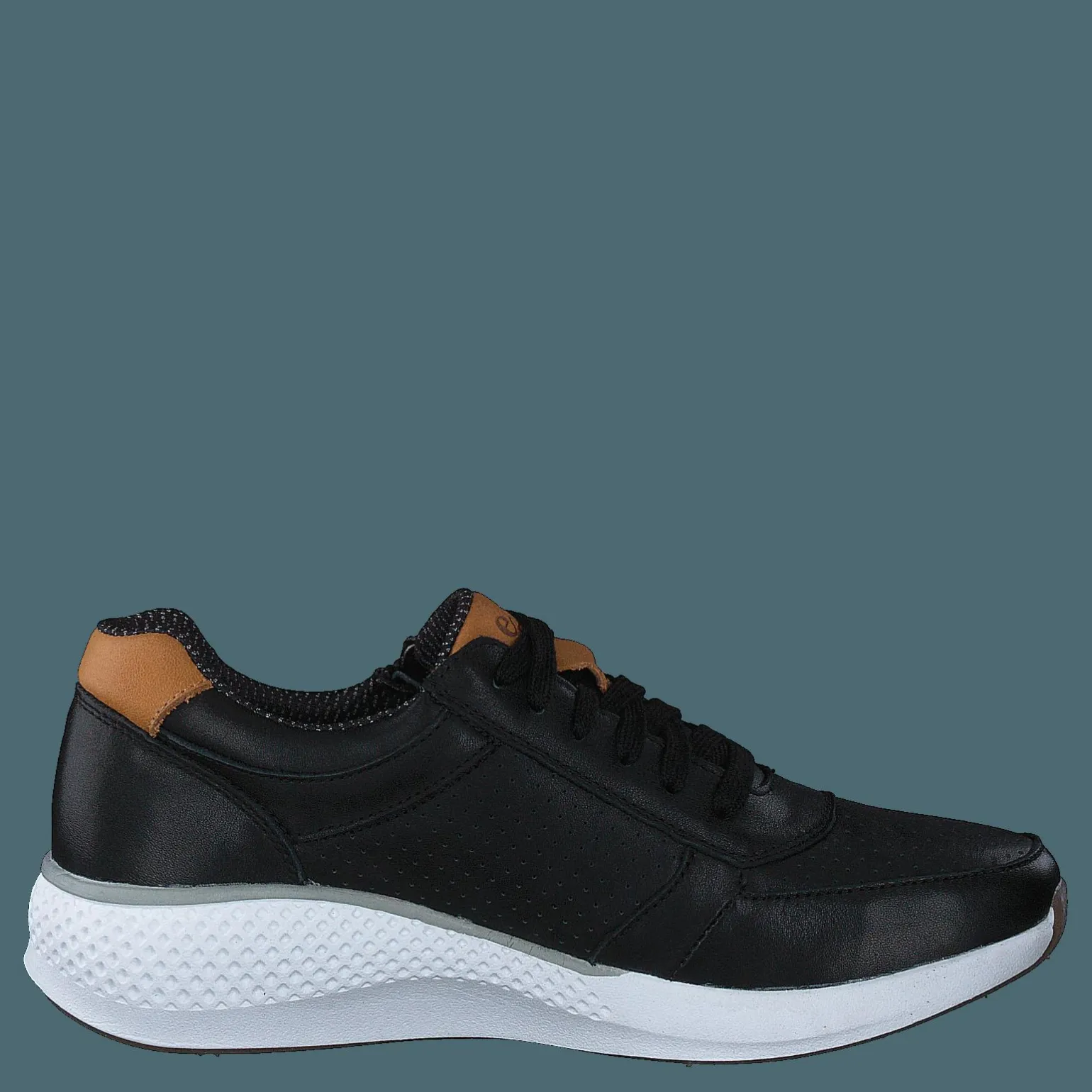 Dolphin Black