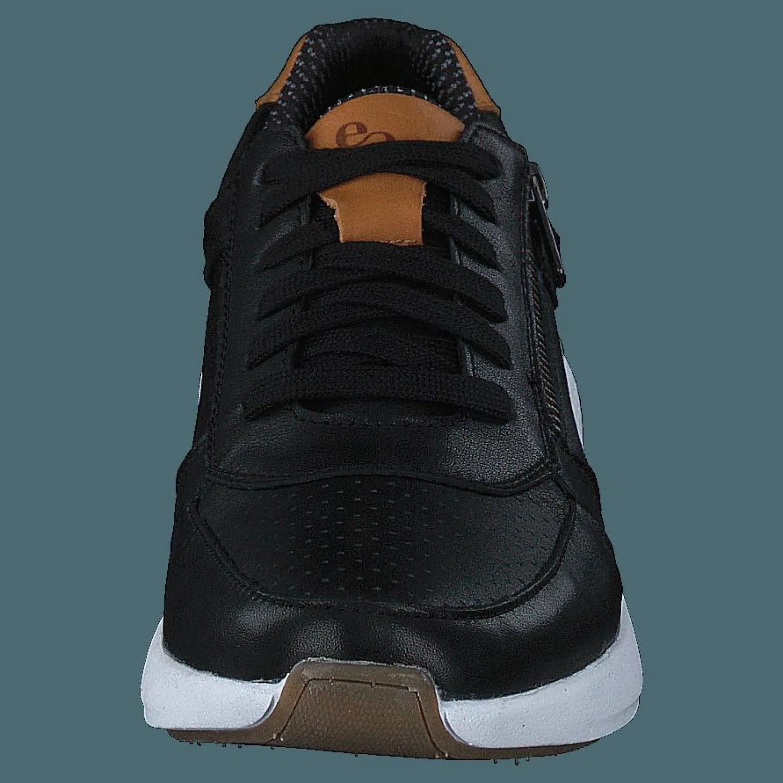 Dolphin Black