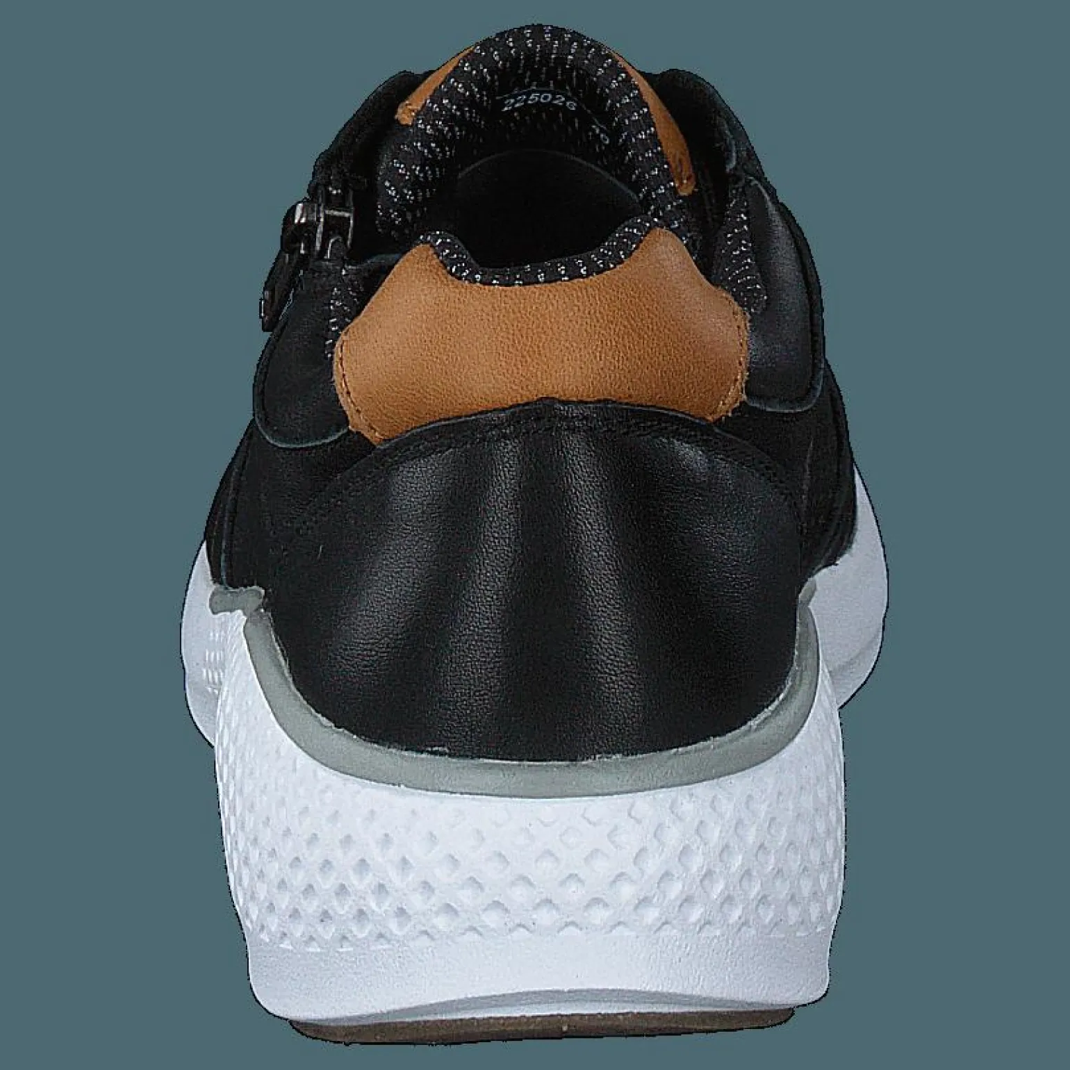 Dolphin Black