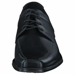 Dorien Black