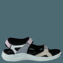 Ecco X-trinsic K Multicolor Blossom Rose