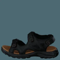 Edana Black