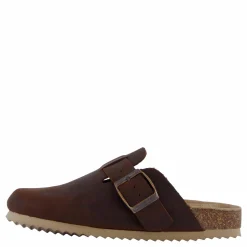 Hc.bio411 Tan