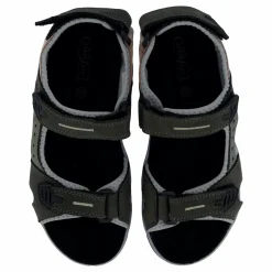 Hills Anthracite