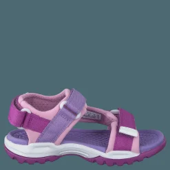 J Borealis G Purple/pink