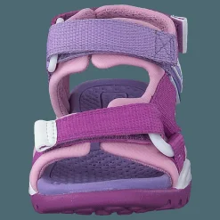 J Borealis G Purple/pink
