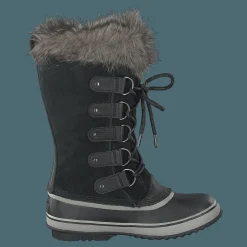Joan Of Artic Black Quarry