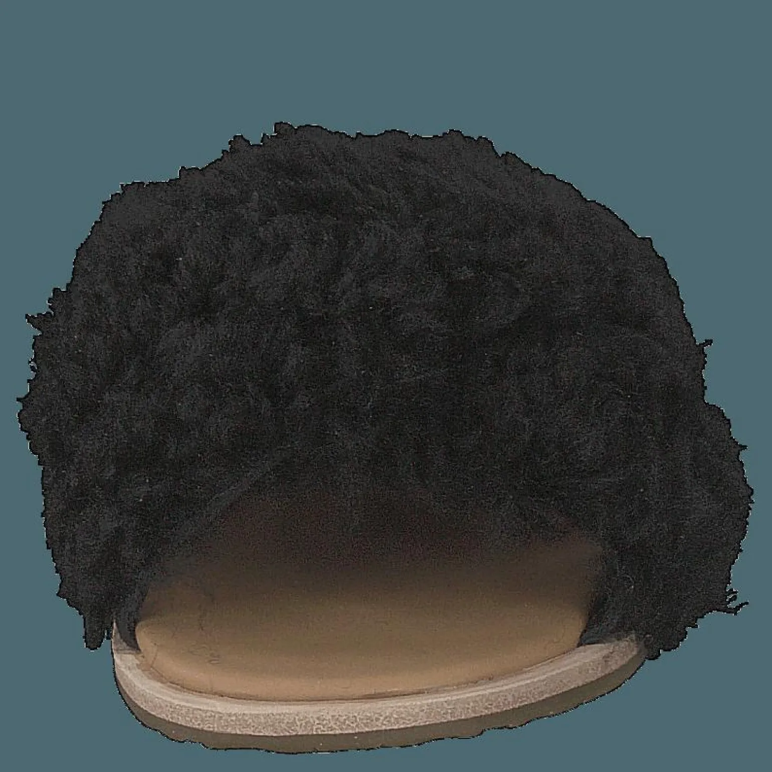 Joni Black