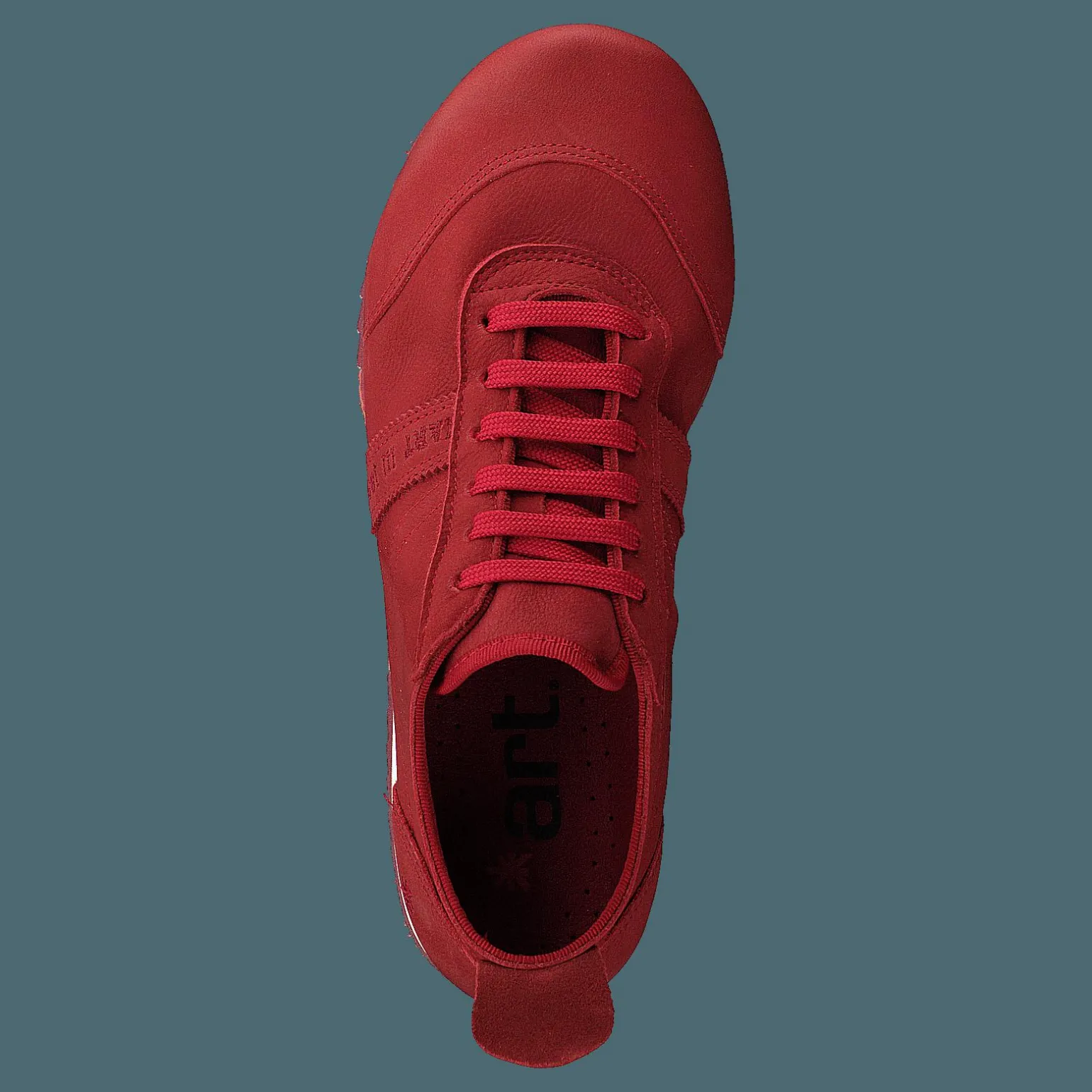 Kioto Coral