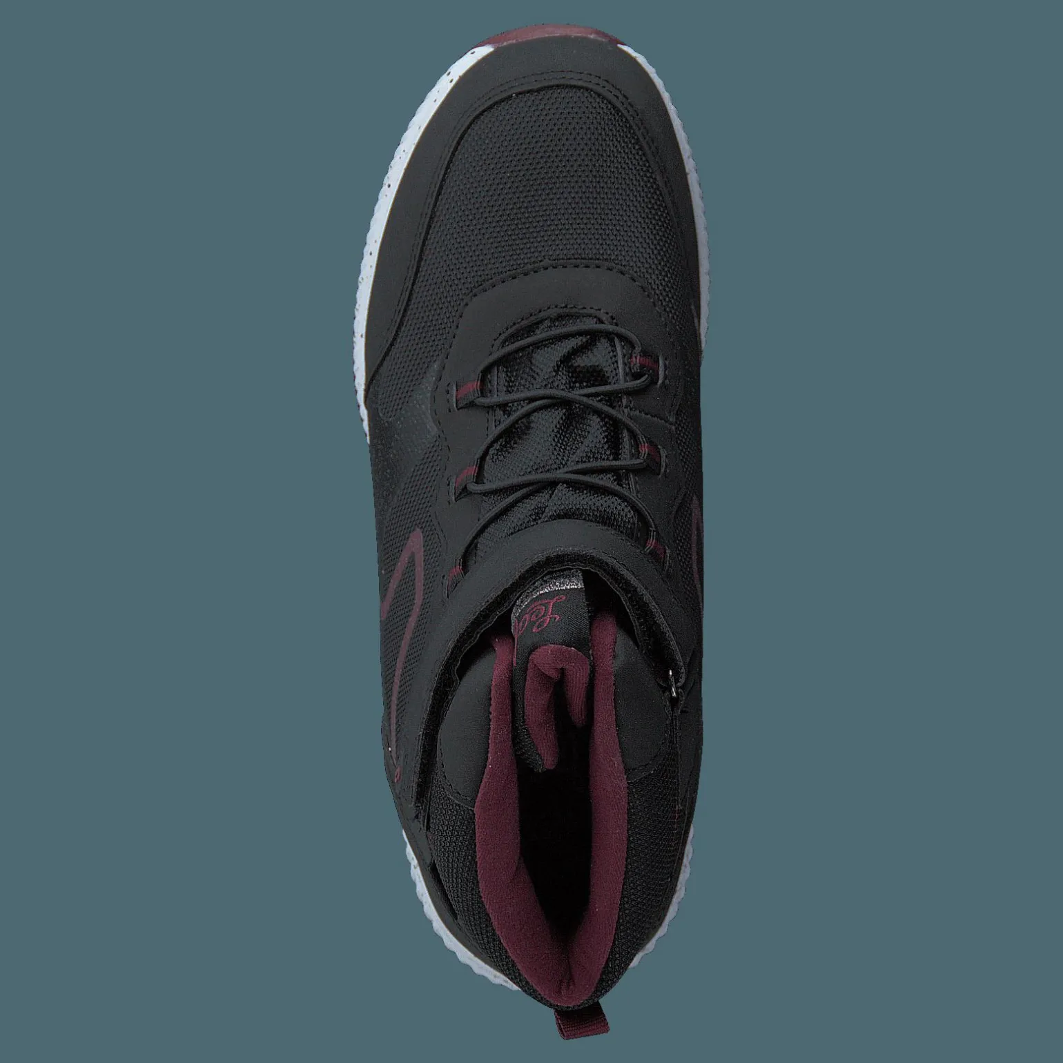 Lavia Blacklilac