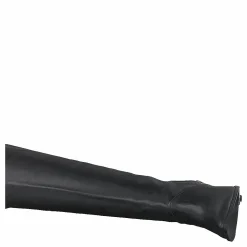Lazar Black