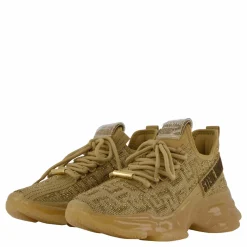 Maxout Gold