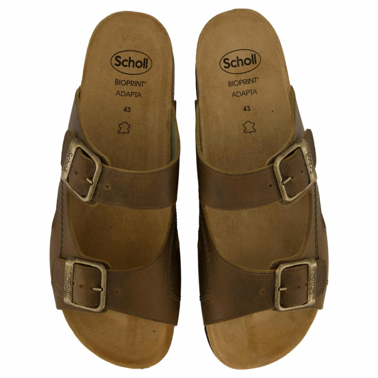 Moldava Ad Olive