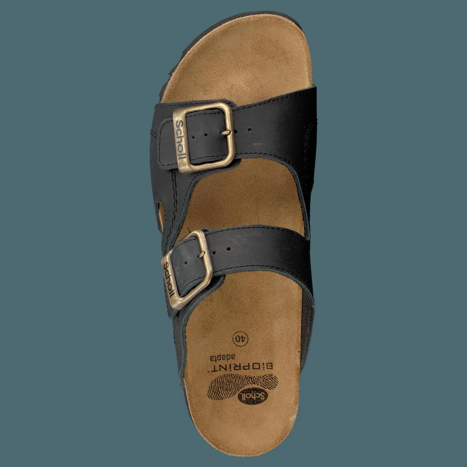 Moldava WG Ad Oiled