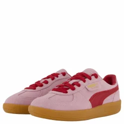 Palermo Rose Mauve-dark Crimson